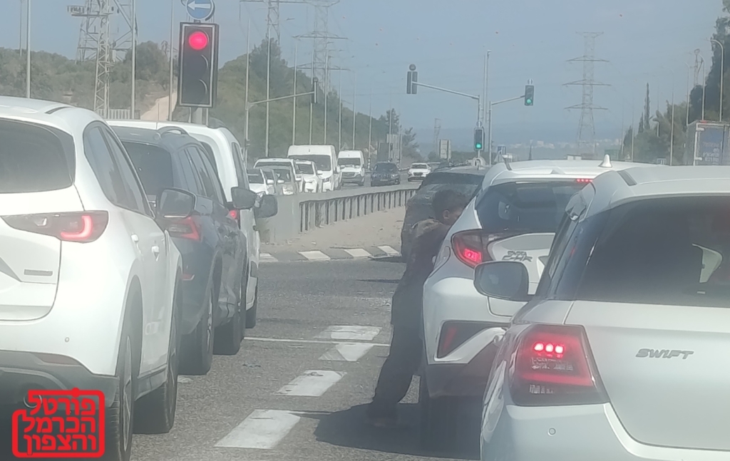 פורטל הכרמל