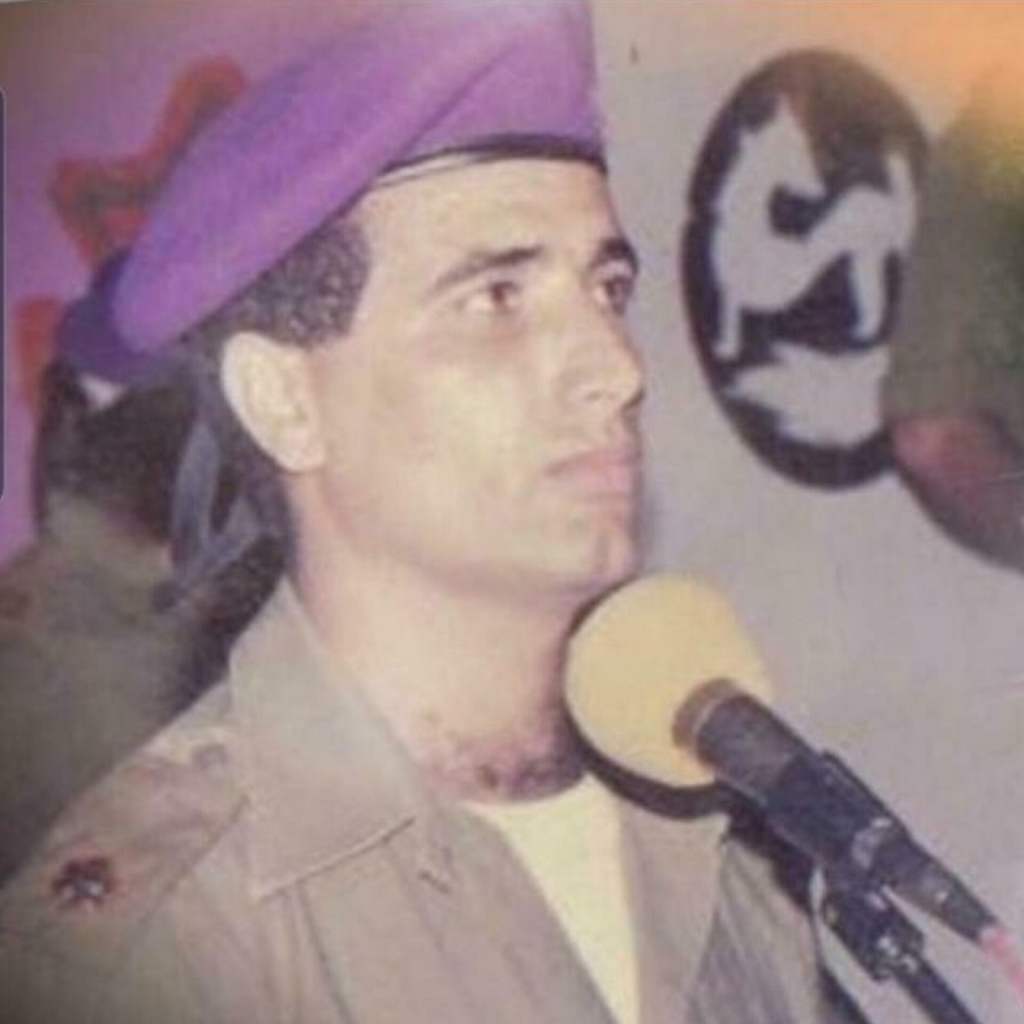 פורטל הכרמל