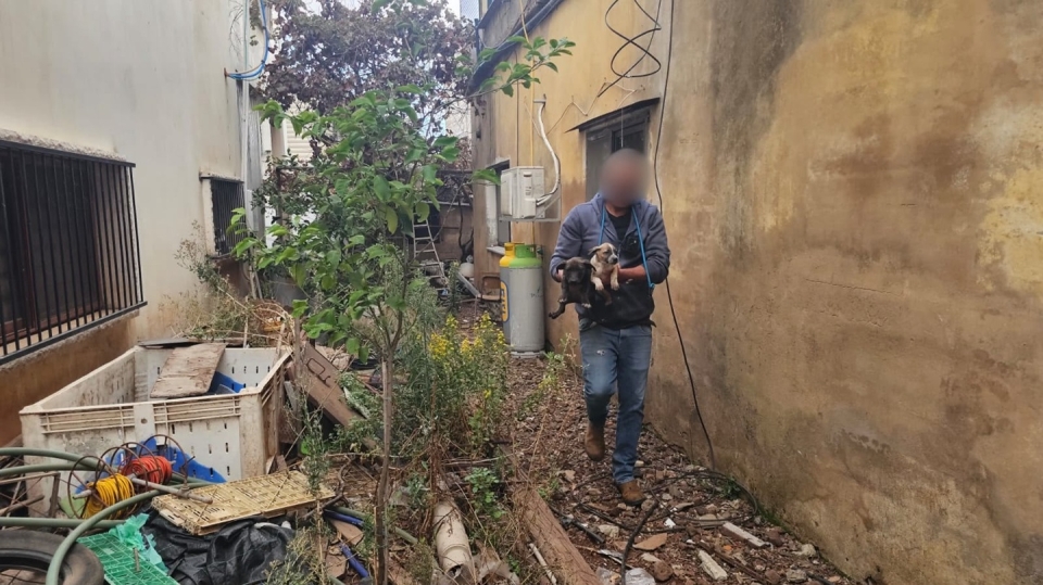 כלבים וגורים אותרו בתנאים מחפירים במסעדה בגולן