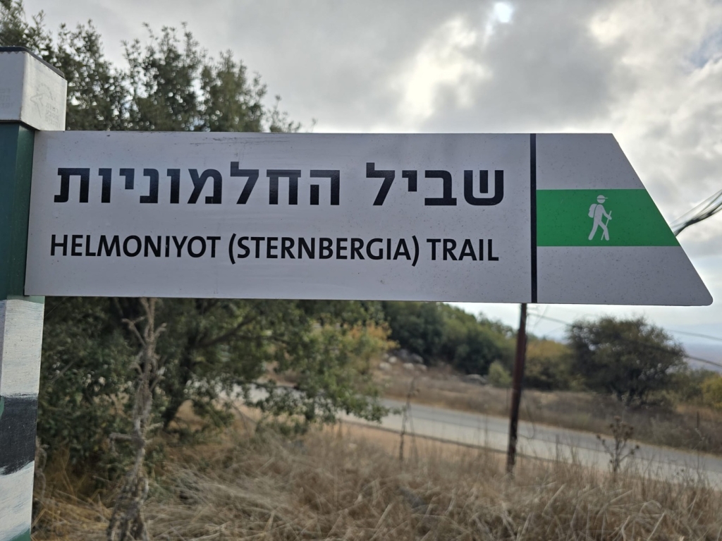 פורטל הכרמל