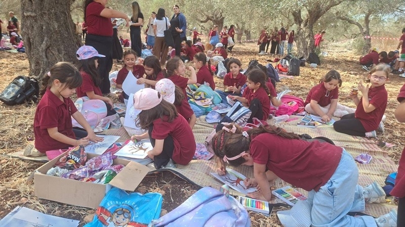 פעילות תלמידים במסיק זיתים